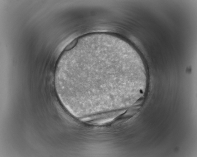 X0000112091465200909151125