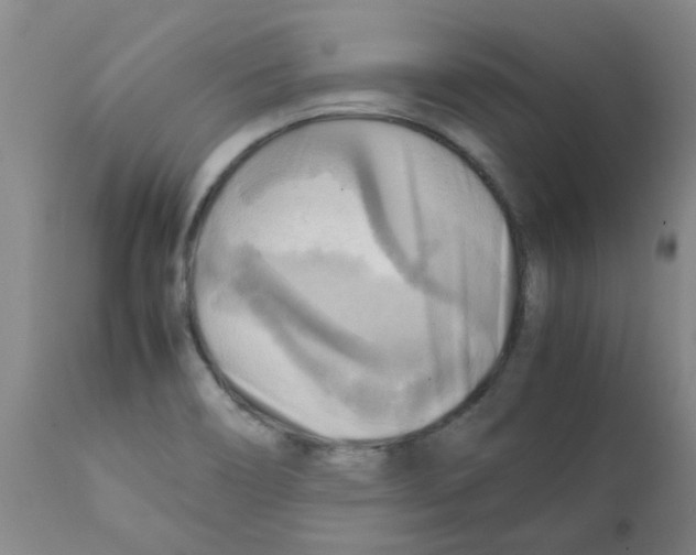 X0000112091466200909151125