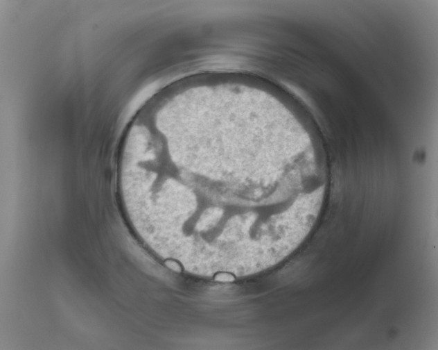 X0000112091467200909151125