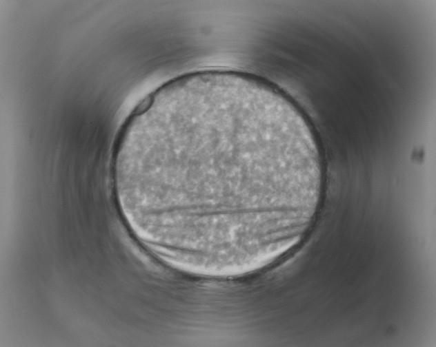 X0000112091469200909151125
