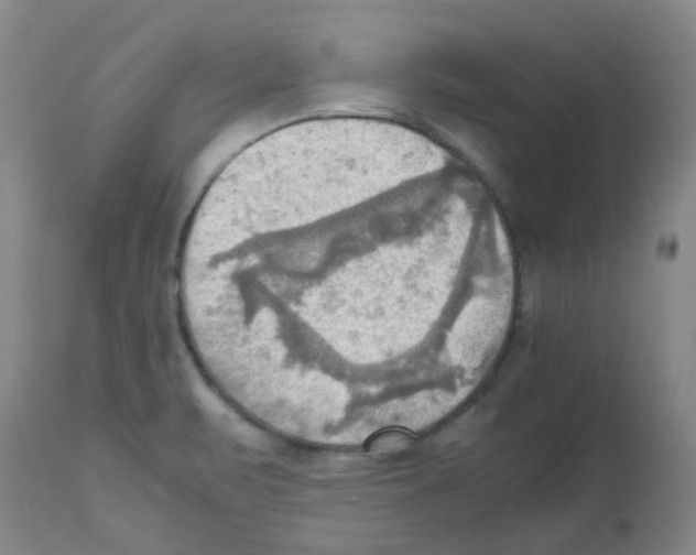 X0000112091471200909151125