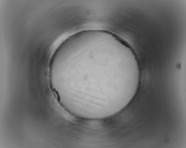 X0000112091472200909151125