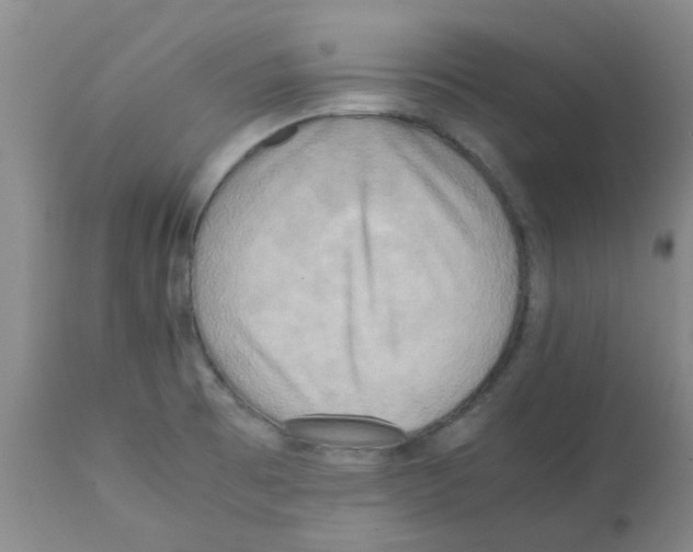 X0000112091473200909151125