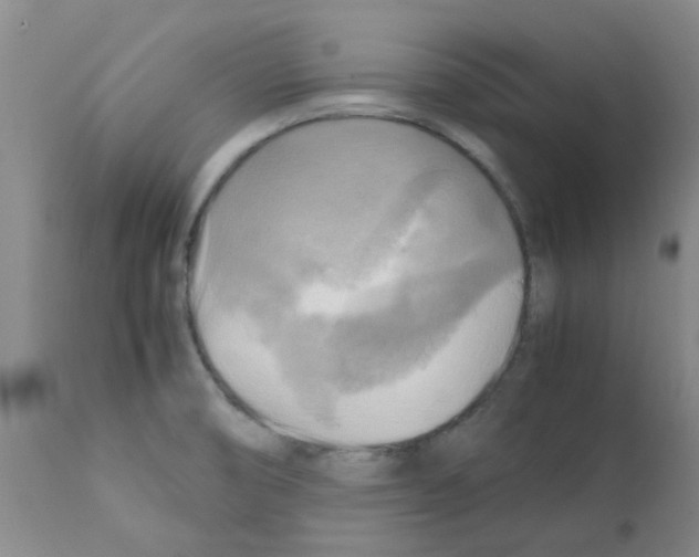 X0000112091474200909151125