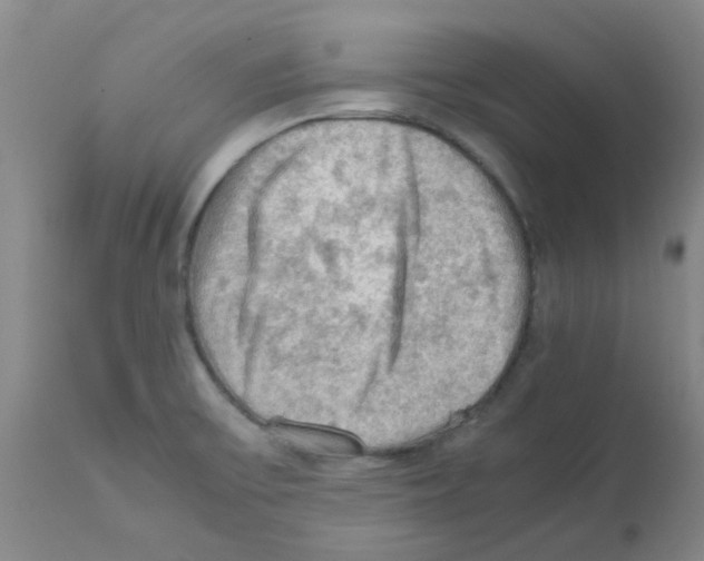 X0000112091475200909151125