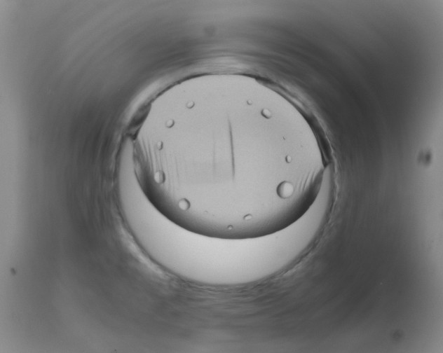 X0000112091477200909151125