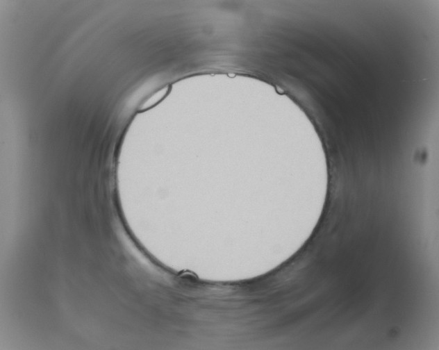 X0000112091479200909151125