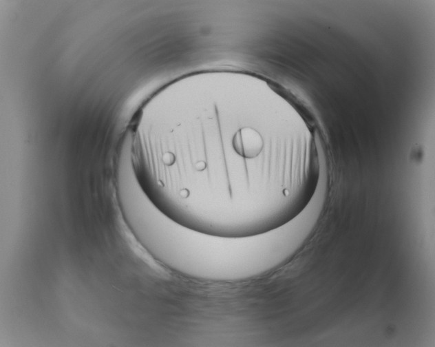 X0000112091480200909151125