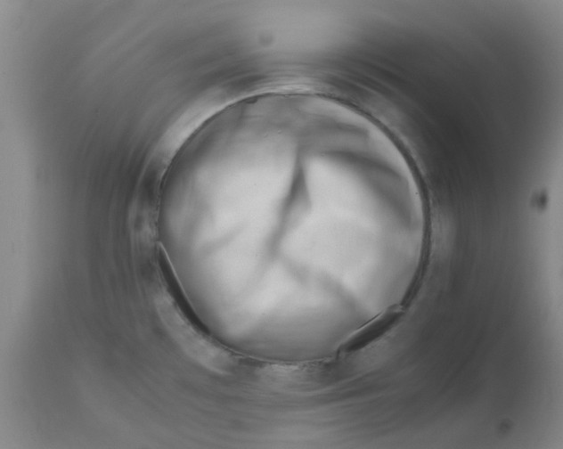 X0000112091481200909151125