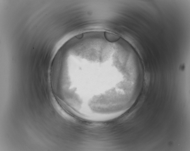X0000112091482200909151125