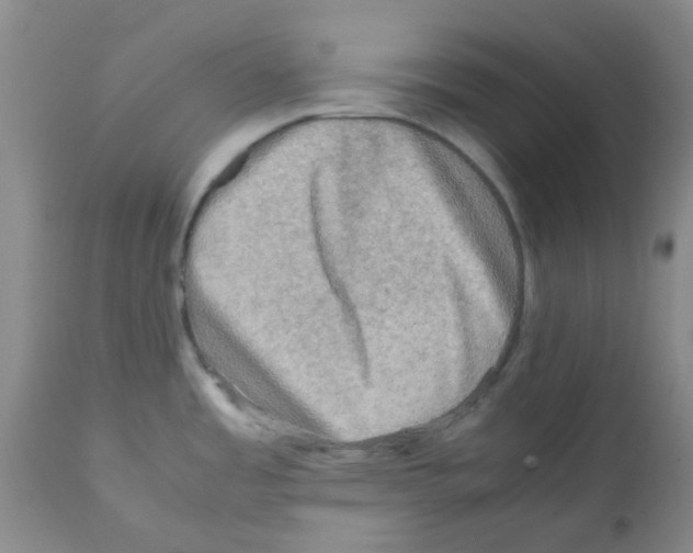 X0000112091485200909151125