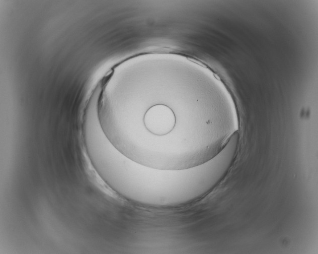 X0000112091488200909151125