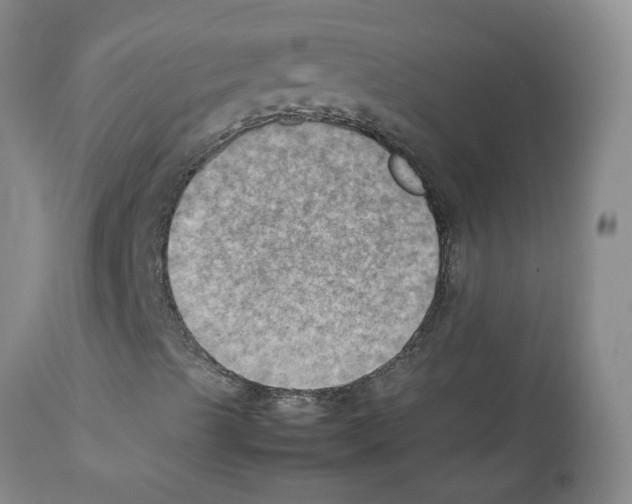 X0000112091489200909151124