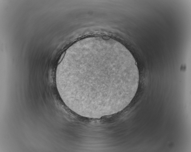 X0000112091490200909151124