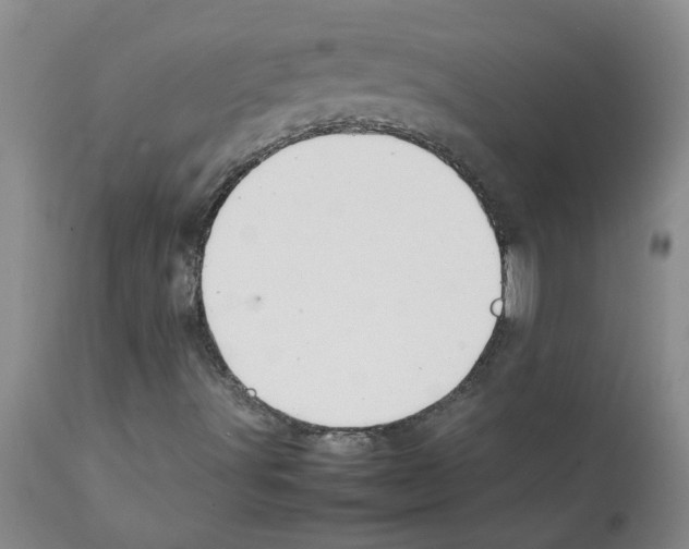 X0000112091491200909151124