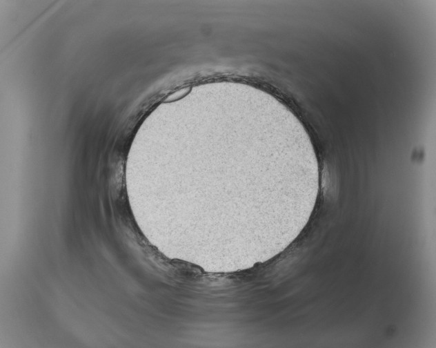 X0000112091492200909151124