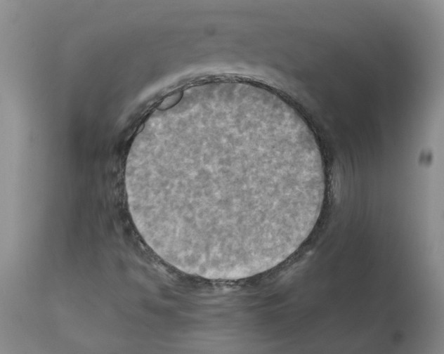 X0000112091494200909151124