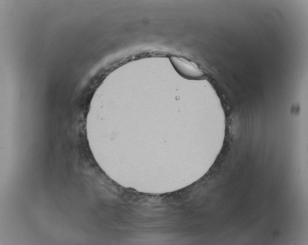 X0000112091495200909151124