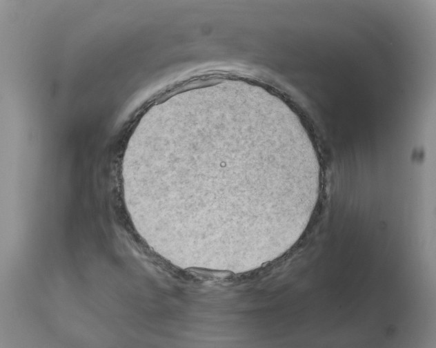 X0000112091496200909151124