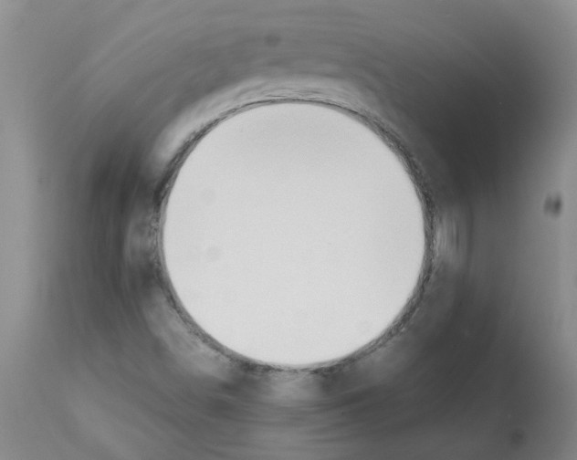 X0000112091498200909151124