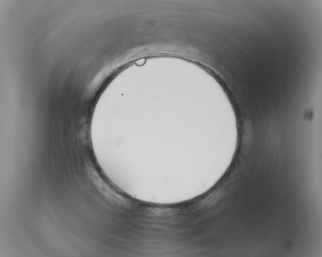X0000112091499200909151124