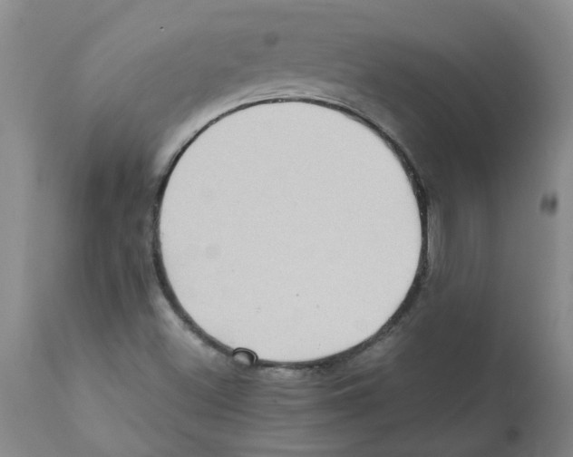 X0000112091500200909151124