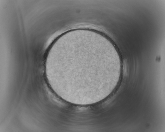 X0000112091501200909151124