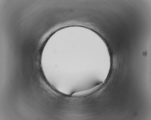X0000112091502200909151124