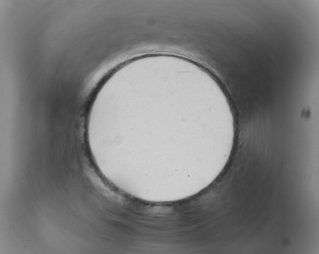 X0000112091503200909151124