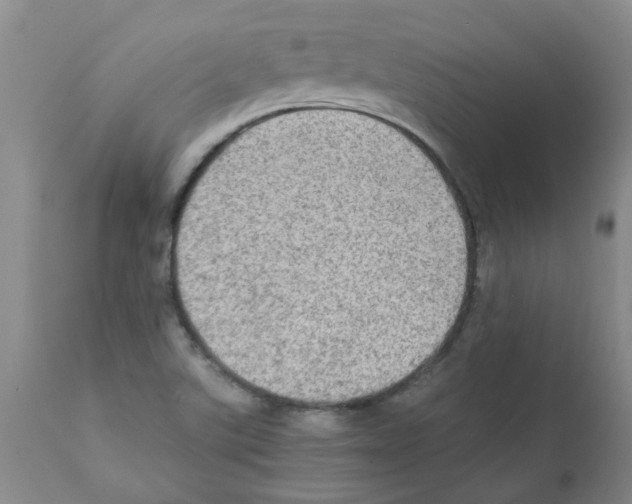 X0000112091507200909151124