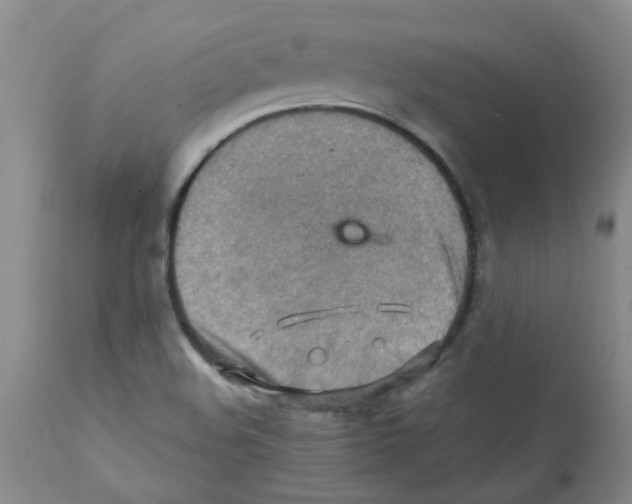 X0000112091508200909151124
