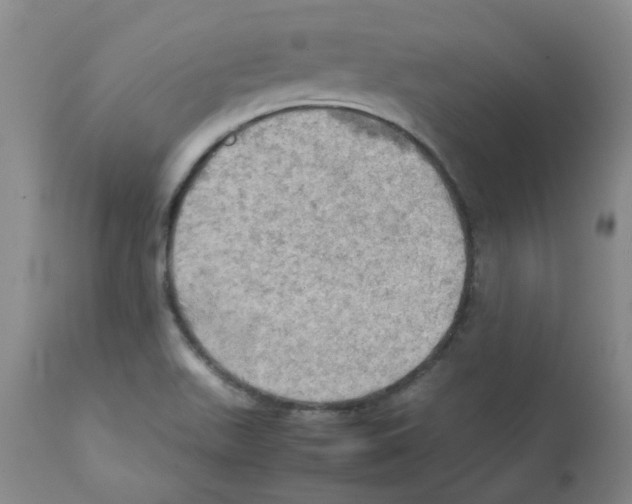 X0000112091511200909151124