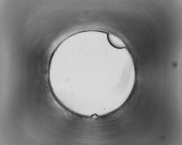 X0000112091512200909151124
