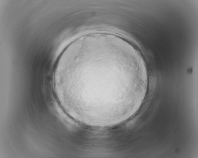 X0000112091514200909151124