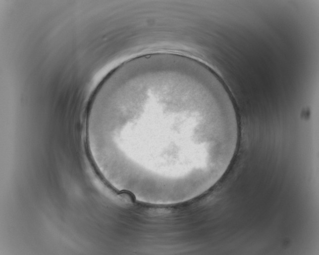 X0000112091515200909151124