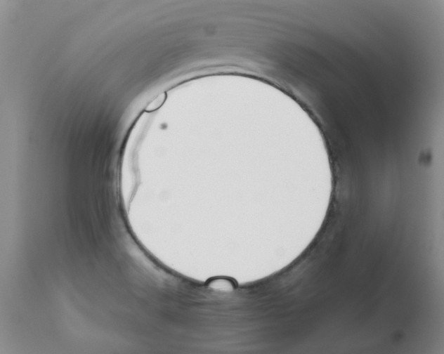 X0000112091516200909151124