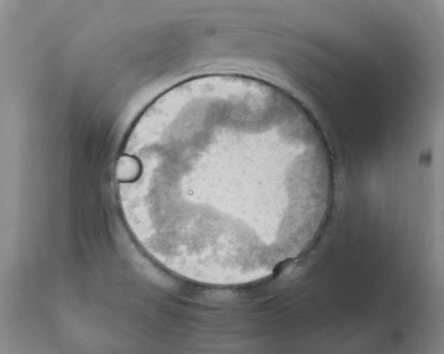 X0000112091517200909151124