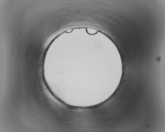 X0000112091518200909151124