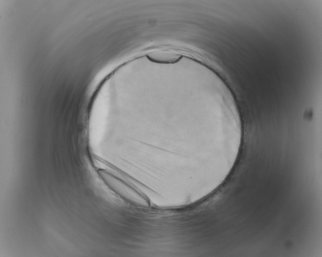 X0000112091522200909151124