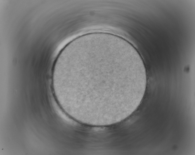 X0000112091523200909151124