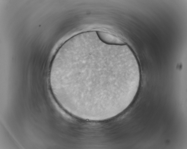 X0000112091525200909151124
