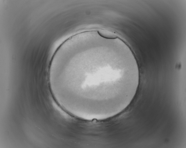 X0000112091527200909151124