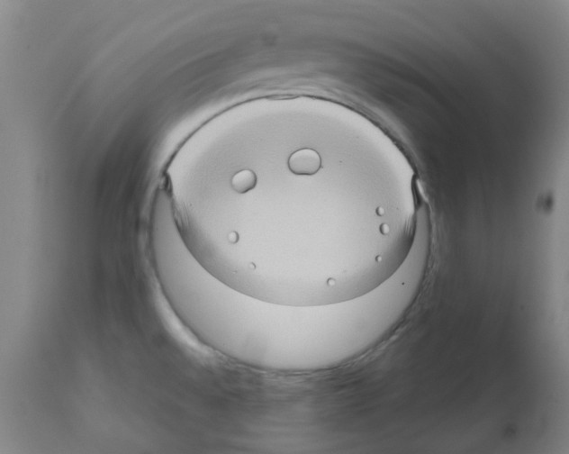 X0000112091528200909151124