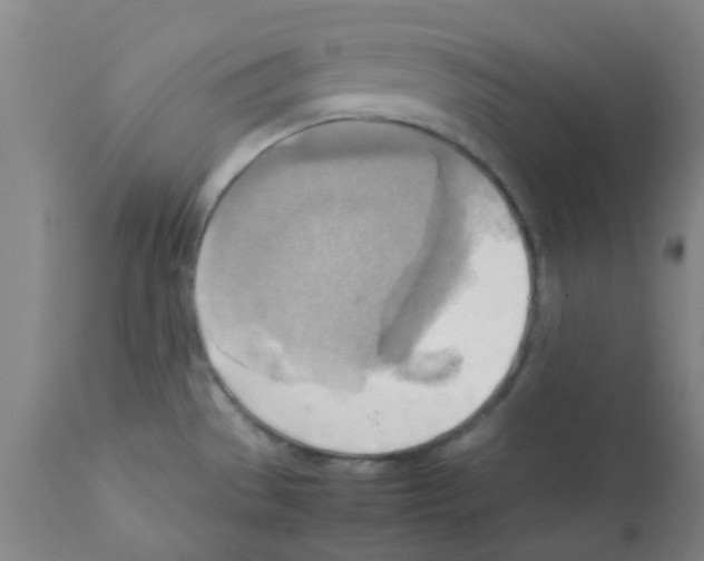 X0000112091529200909151124