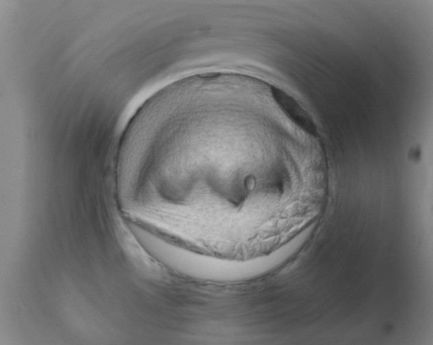 X0000112091530200909151124