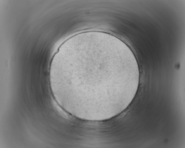 X0000112091532200909151124