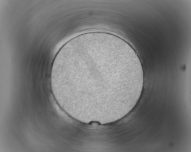 X0000112091534200909151124