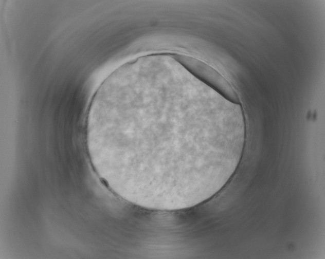 X0000112091536200909151124
