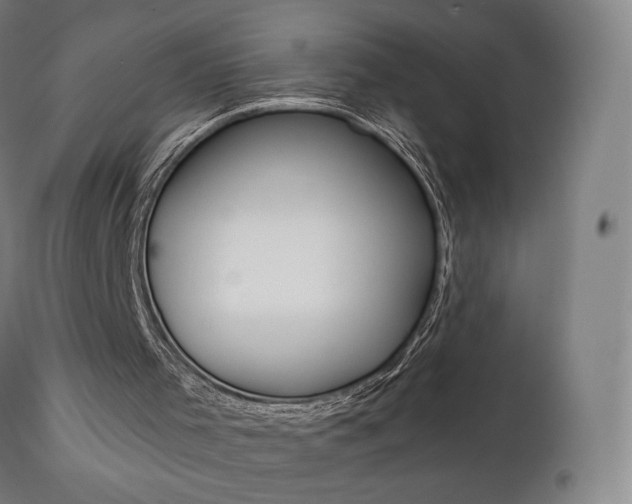 X0000112100001200908041124
