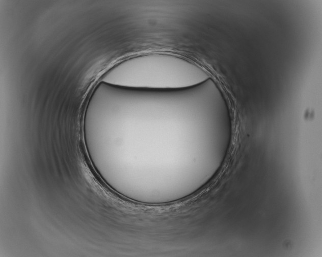 X0000112100002200908041124
